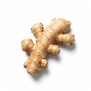 Ginger