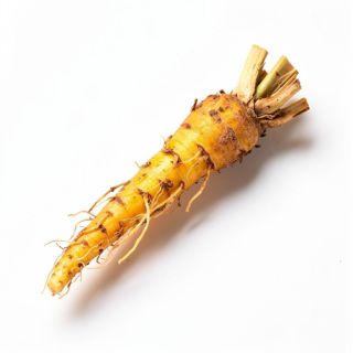 Goldenseal Root