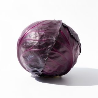 Red Cabbage