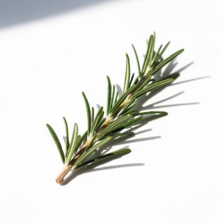 Rosemary